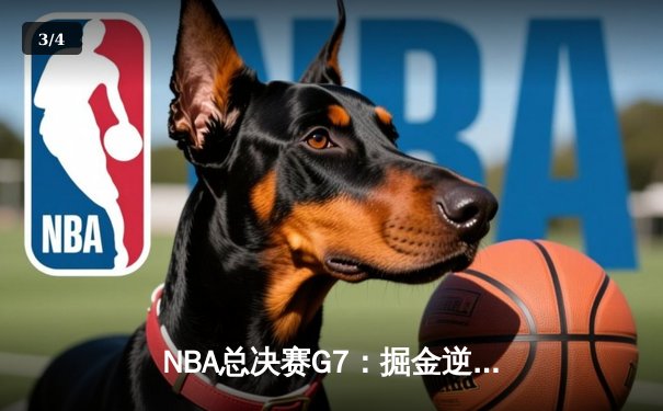 NBA总决赛G7：掘金逆转夺冠，约基奇三双封神创历史 - 3